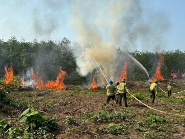 Hình ảnh cho bài viết Chủ động triển khai quyết liệt, đồng bộ, hiệu quả các giải pháp về phòng cháy, chữa cháy rừng trên địa bàn tỉnh Phú Yên